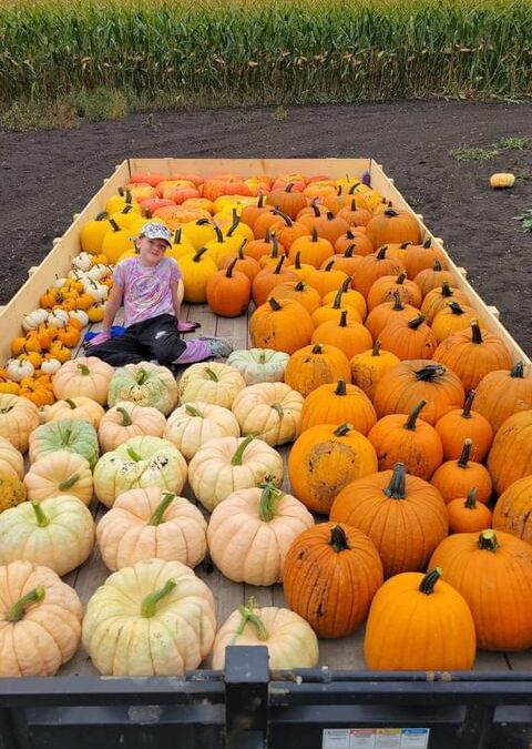 Pumpkin Sale Proceeds to Cancer Care at BTHC